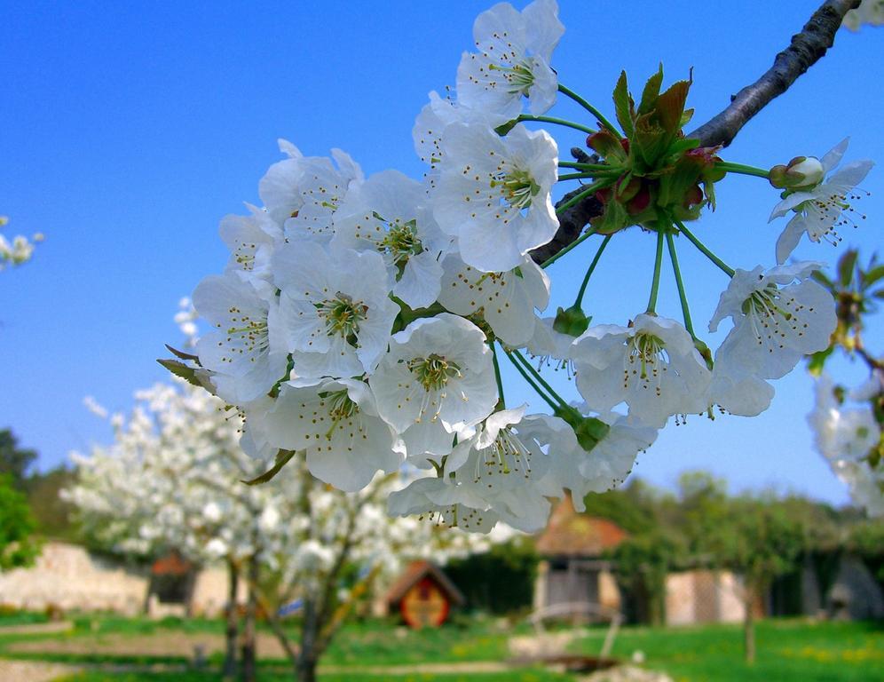 Elgersheimer Hof Фолках Екстериор снимка
